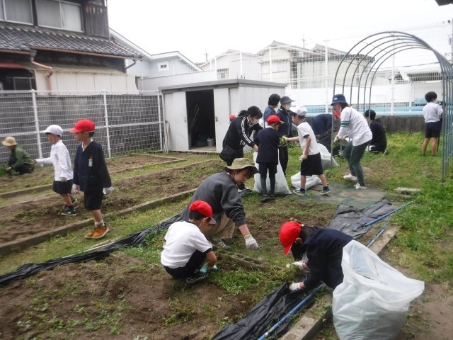 つくし学級全員で草むしり