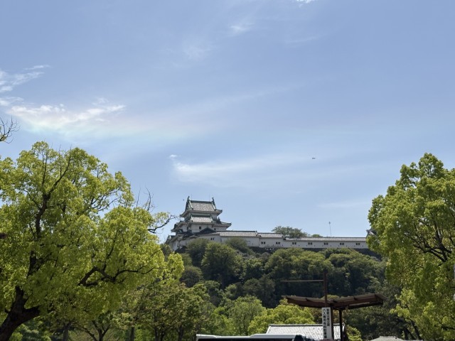 和歌山城と虹